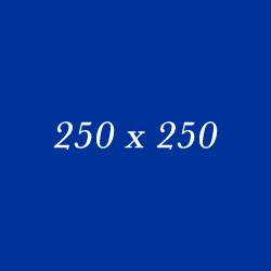 250x250