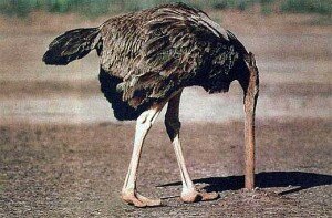 Like Indian generals ostrich has the head in ground