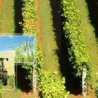 head_agriculture