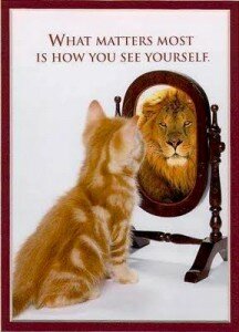 perceptions perceptions