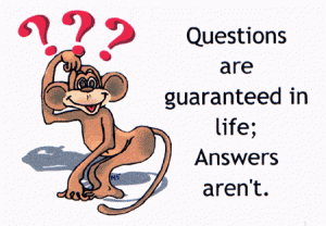 questions questions